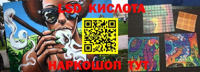гидра Новозыбков