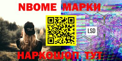 сатива Новокубанск