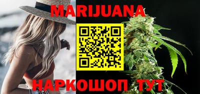 гидра Новозыбков