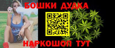 гидра Новозыбков