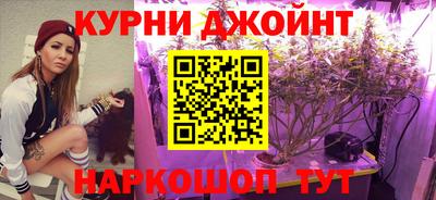 гидра Новозыбков