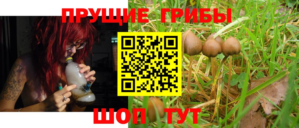 Старый Оскол  Галлюциногенные грибы MAGIC MUSHROOMS  Вход с VPN 
