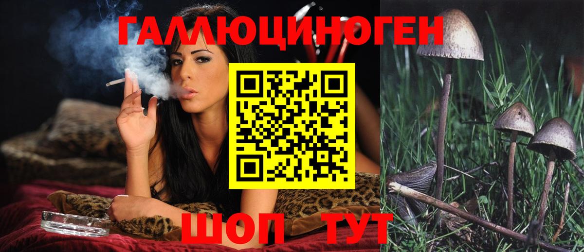 закладка  Старый Оскол  Псилоцибиновые грибы GOLDEN TEACHER 